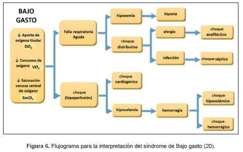 Flujograma síndrome de Bajo gasto Flujograma síndrome de Bajo gasto
