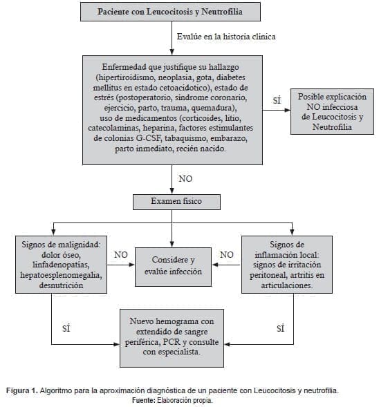Algoritmo para paciente con Leucocitosis y neutrofilia