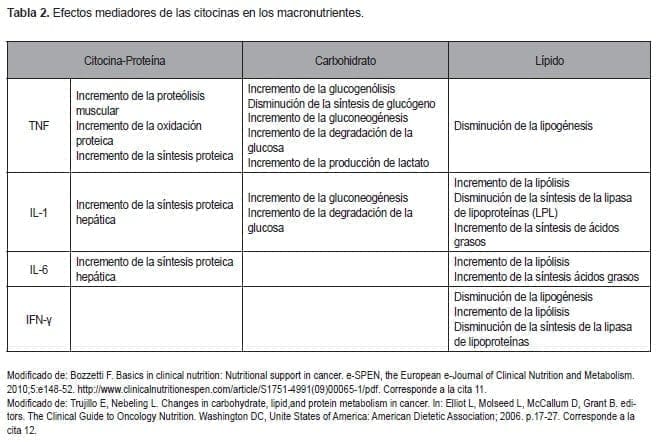 Efectos mediadores de las citocinas en los macronutrientes