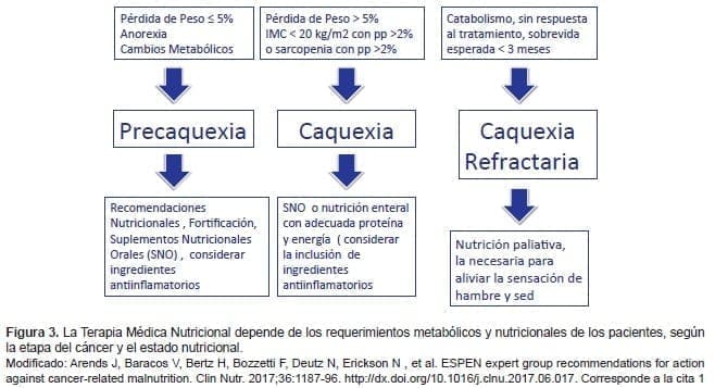 La Terapia Médica Nutricional La Terapia Médica Nutricional