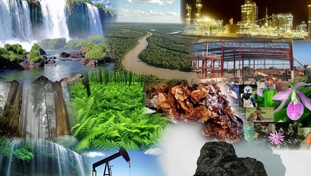 Delitos contra los recursos naturales y el medio ambiente