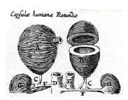 Caspar Bartholin Caspar Bartholin