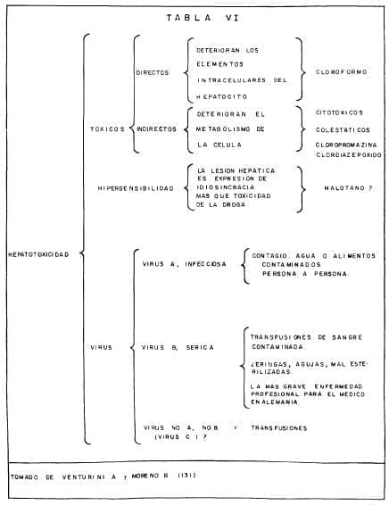 Hepato y Nefrotoxicidad