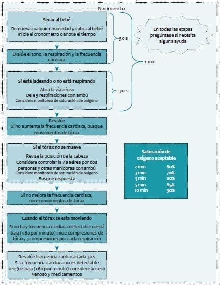 Atención del Niño en Sala de Partos Atención del Niño en Sala de Partos