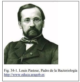 Louis Pasteur Louis Pasteur
