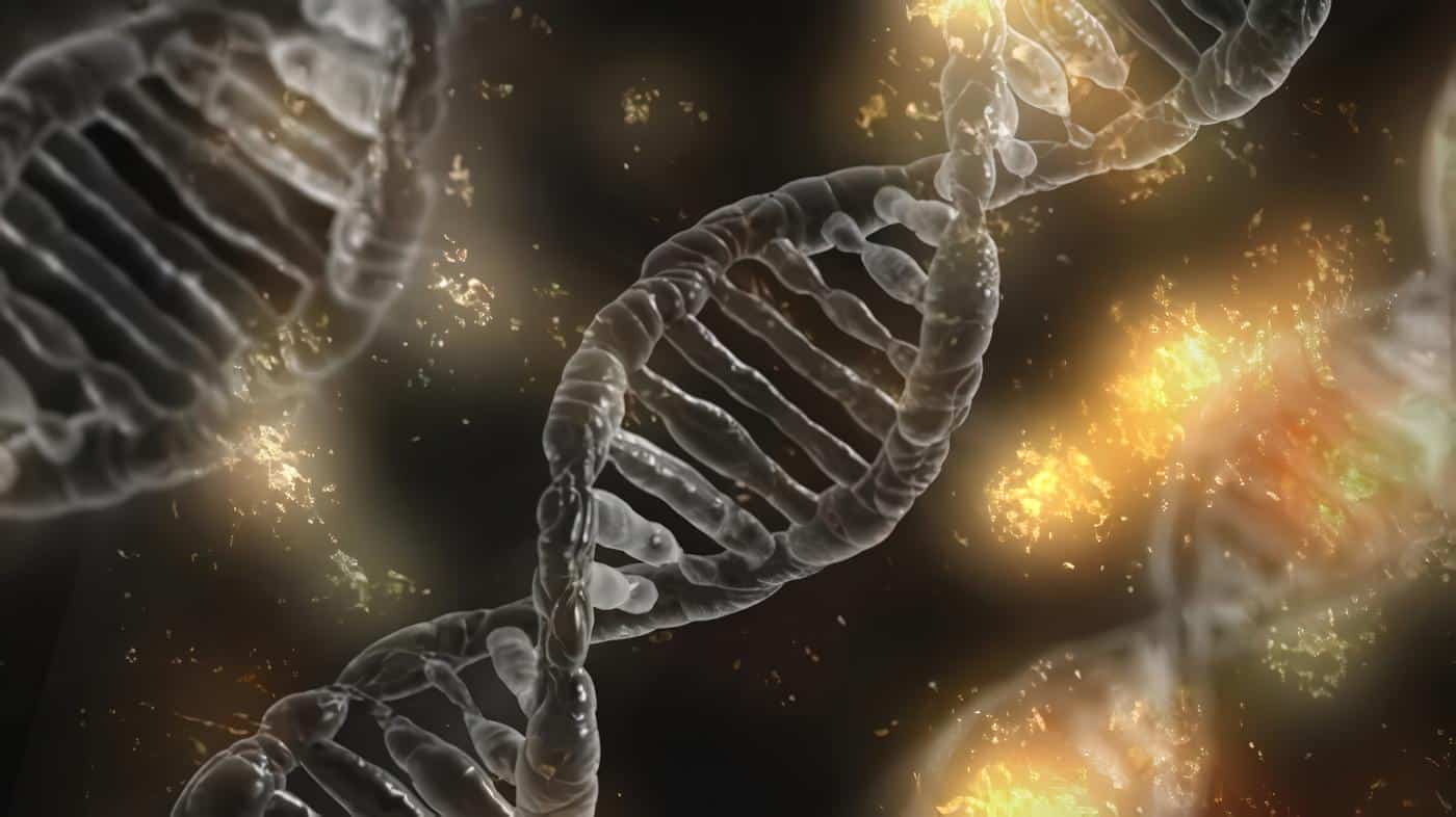 Endocrinología Molecular