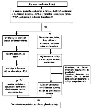 Pacientes con Piuria estéril
