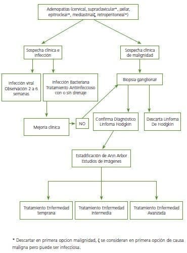 Linfoma de Hodgkin, Diagnóstico y manejo, manejo de adenopatías Linfoma de Hodgkin, Diagnóstico y manejo, manejo de adenopatías