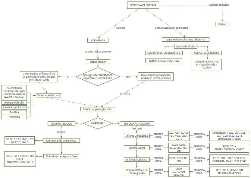 Sospecha de Linfoma de Hodgkin Sospecha de Linfoma de Hodgkin