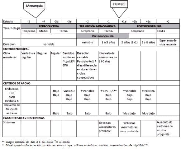 Sistema de estadiaje del envejecimiento reproductivo de la mujer