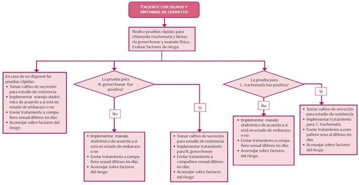 Persistencia en el Síndrome de cervicitis