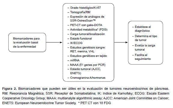 Biomarcadores que pueden ser útiles en la evaluación de tumores neuroendocrinos de páncreas Biomarcadores que pueden ser útiles en la evaluación de tumores neuroendocrinos de páncreas