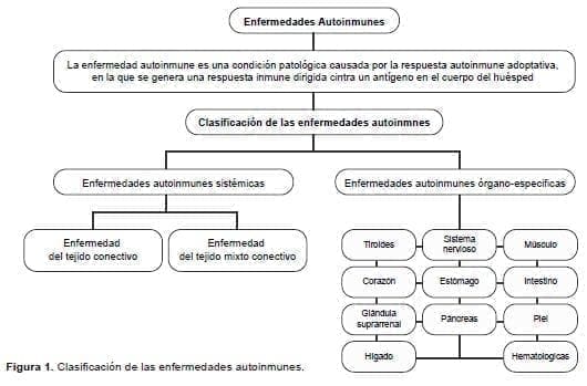 Clasificación de las enfermedades autoinmunes