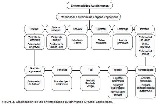 Clasificación de las enfermedades autoinmunes Órgano-Específicas