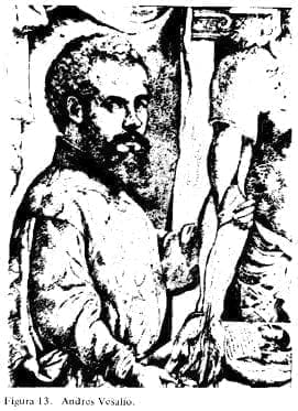 Andres Vesalio Andres Vesalio