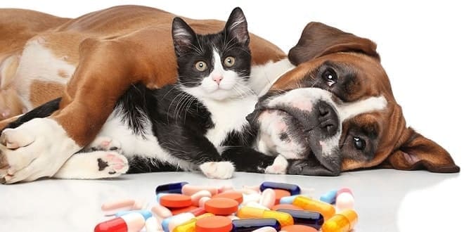 medicamentos prohibidos