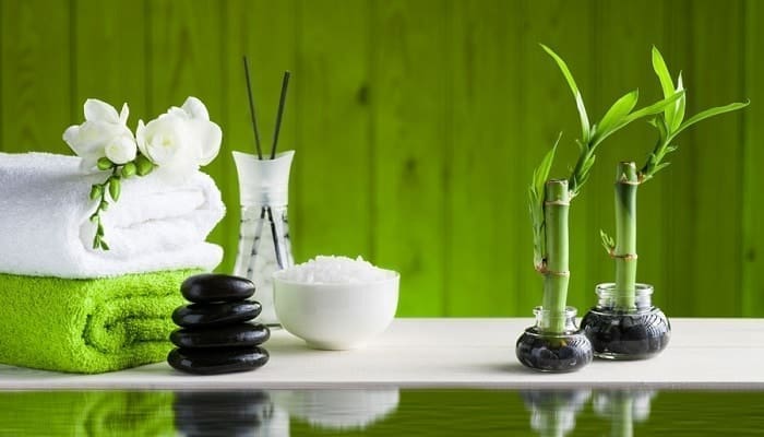 Feng Shui para la Salud