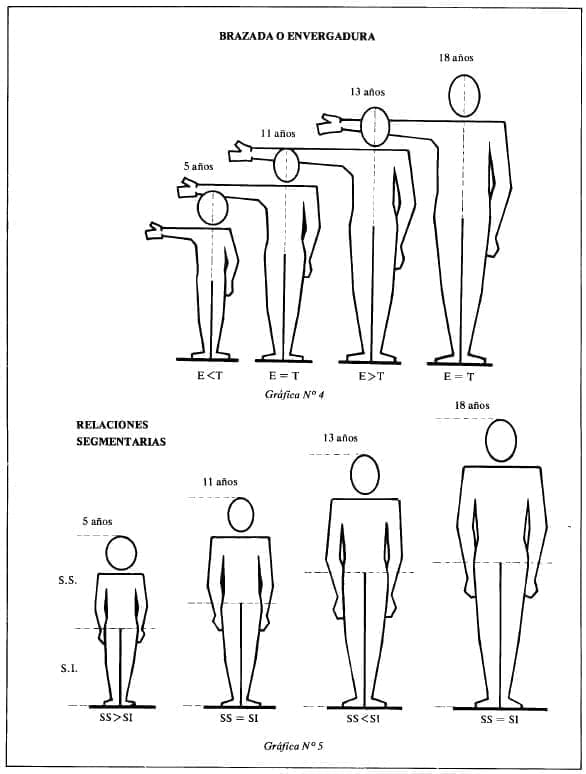 Brazada o envergadura de un Adolescente