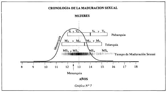 Cronología de la maduración sexual en la mujer Cronología de la maduración sexual en la mujer