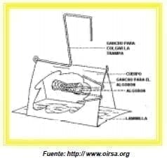 Partes de Trampas Jackson - Moscas de la Fruta Partes de Trampas Jackson - Moscas de la Fruta