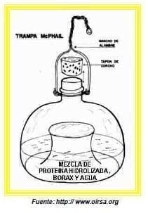 Partes de Trampa McPhail - Moscas de la Fruta Partes de Trampa McPhail - Moscas de la Fruta
