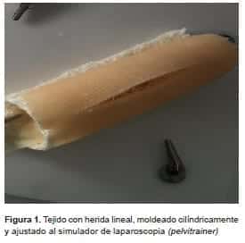 Tejido con herida lineal Tejido con herida lineal