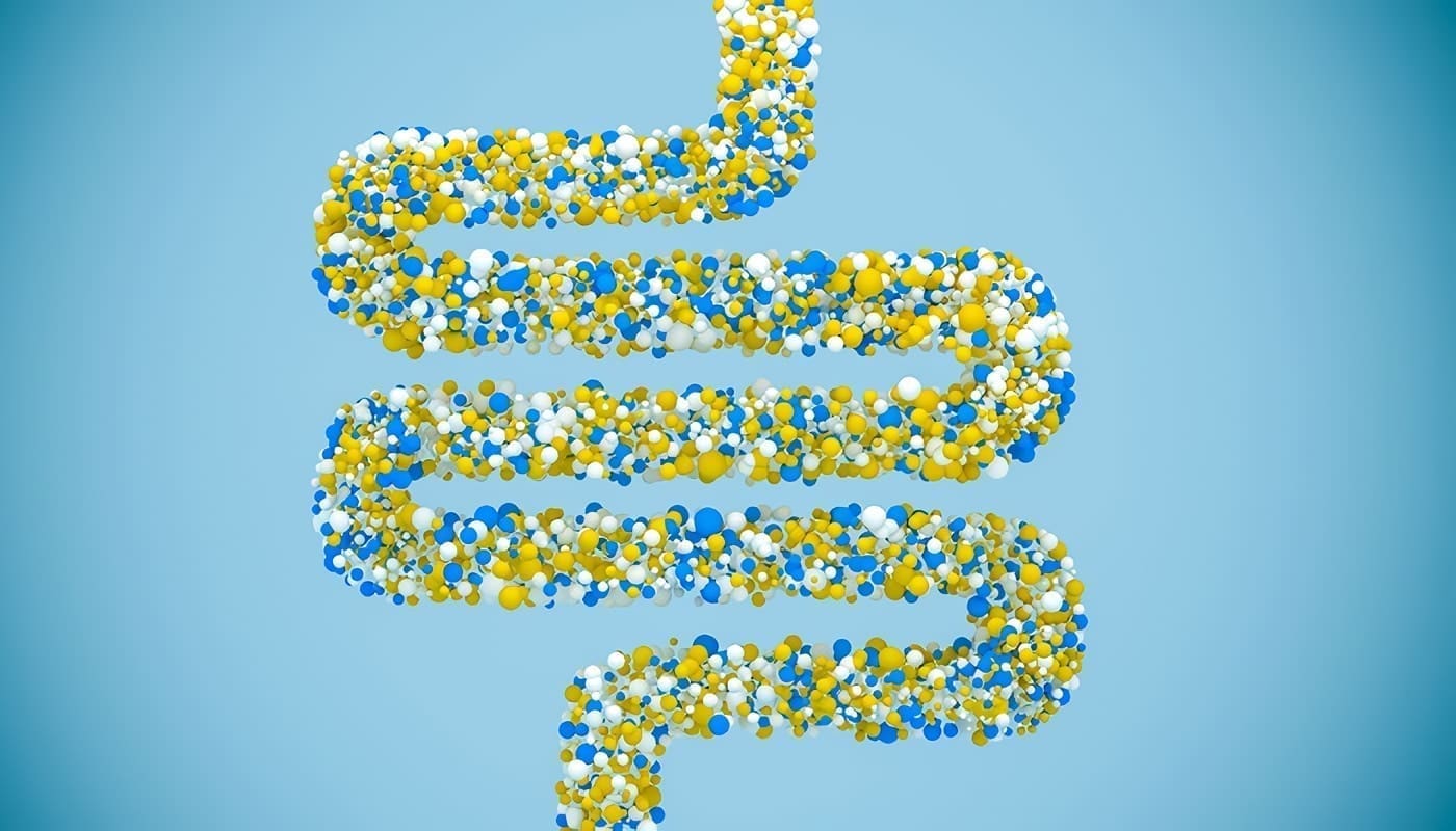 Todo sobre los probióticos