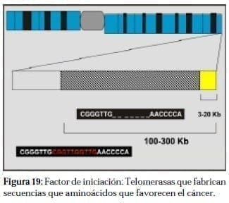 Aminoácidos que Favorecen el Cáncer