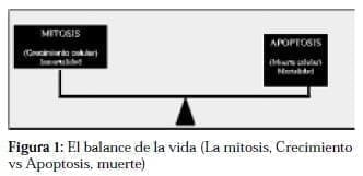 Balance de la Vida en el Cáncer de Próstata