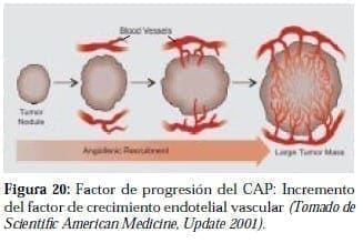 Factor de Crecimiento Endotelial Vascular