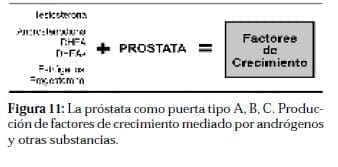 Próstata Factores de Crecimiento