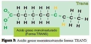 Ácido graso Monoinsaturado forma TRANS