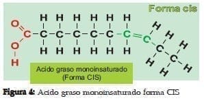 Ácido Graso Monoinsaturado forma CIS