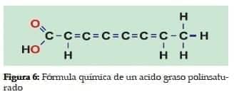 Fórmula química de un acido graso polinsaturado