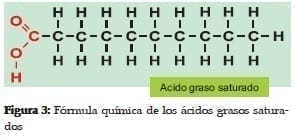 Fórmula Química de los Ácidos Grasos Saturados