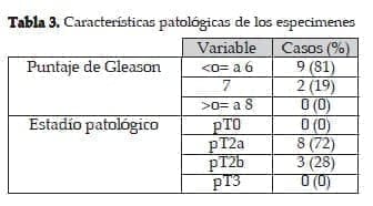 Piezas de acuerdo al Gleason y el Estadío Patológico Piezas de acuerdo al Gleason y el Estadío Patológico