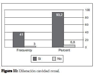 Dilatación cavidad renal Dilatación cavidad renal