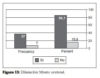 Dilatación Meato ureteral Dilatación Meato ureteral