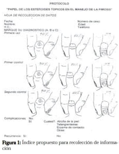 Fimosis, Índice propuesto para recolección de información