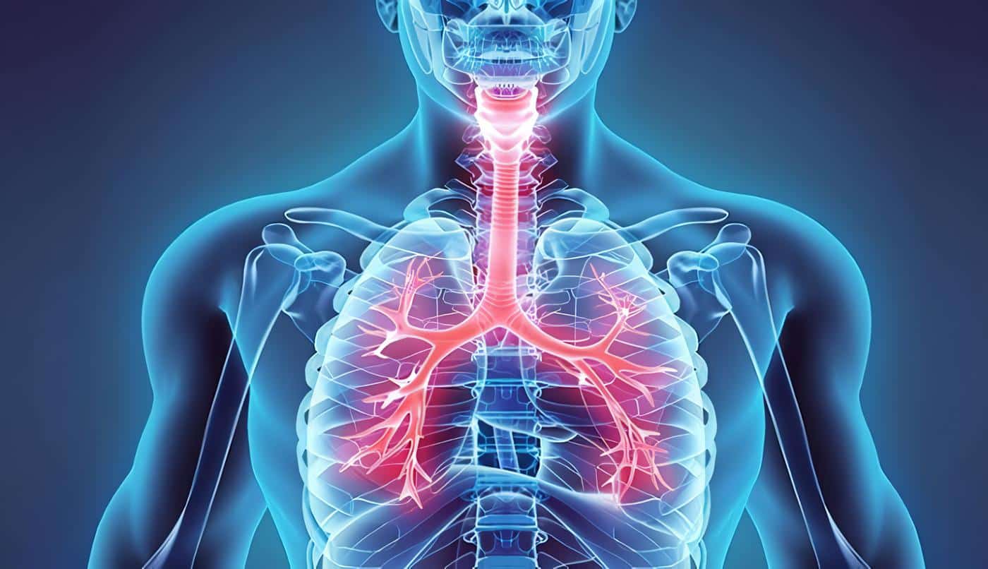 Lesiones Pulmonares Traumáticas