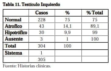 Testículo Izquierdo