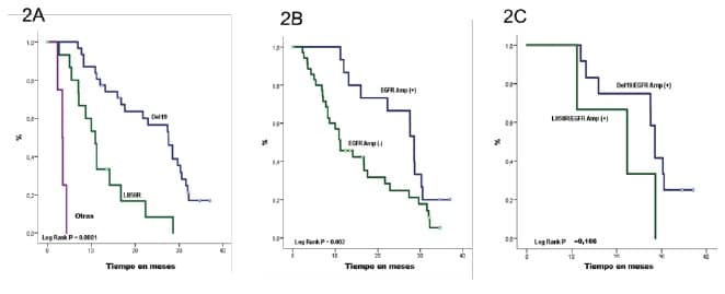 supervivencia libre de progresión Adenocarcinoma de Pulmón según mutuaciones supervivencia libre de progresión Adenocarcinoma de Pulmón según mutuaciones
