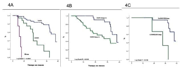 Supervivencia global Cáncer de Pulmón según mutuación Supervivencia global Cáncer de Pulmón según mutuación