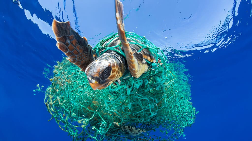 Contaminación de los Mares y Océanos