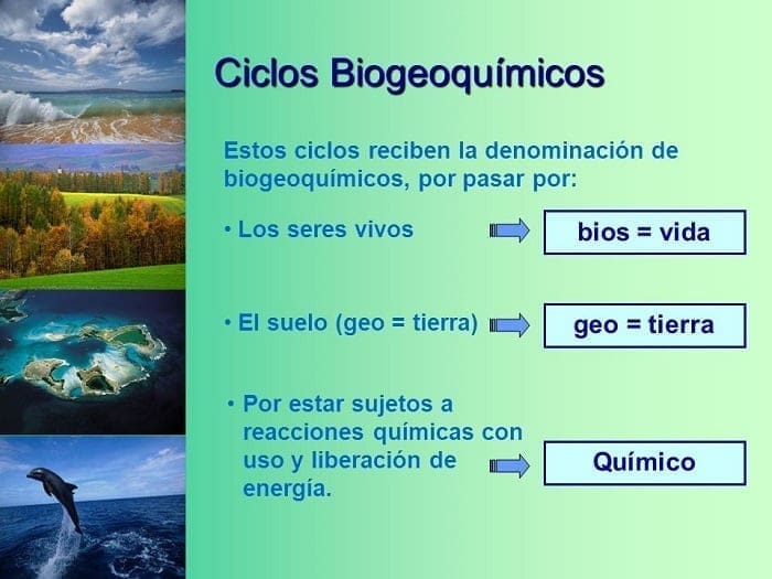 Ciclos Biogeoquímicos