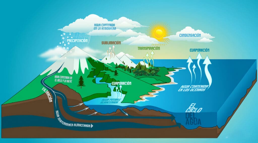 ciclos biogeoquímicos