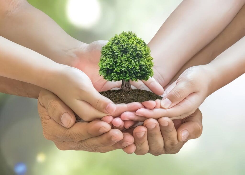 Cuidar el medio ambiente