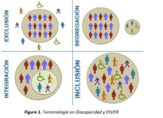 Terminología en Discapacidad y Enfermedades Huérfanas o Raras (H/ER)