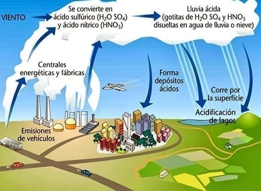 Ciclo del azufre