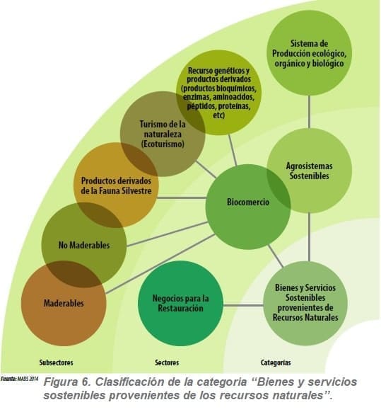 Bienes y servicios sostenibles provenientes de los recursos naturales